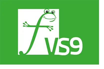 Froschbergschule VS9