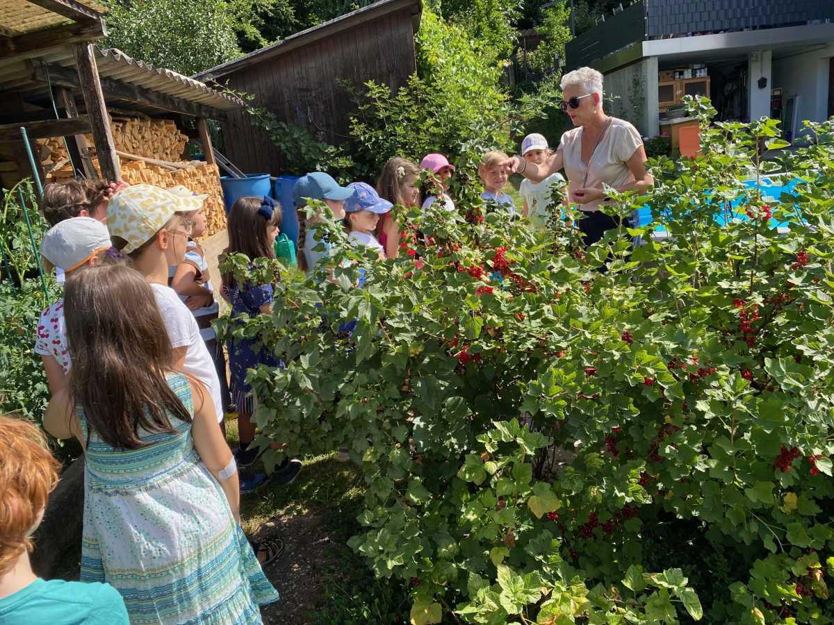 Himbeeren und Brombeeren durften an Ort und Stelle genascht werden.