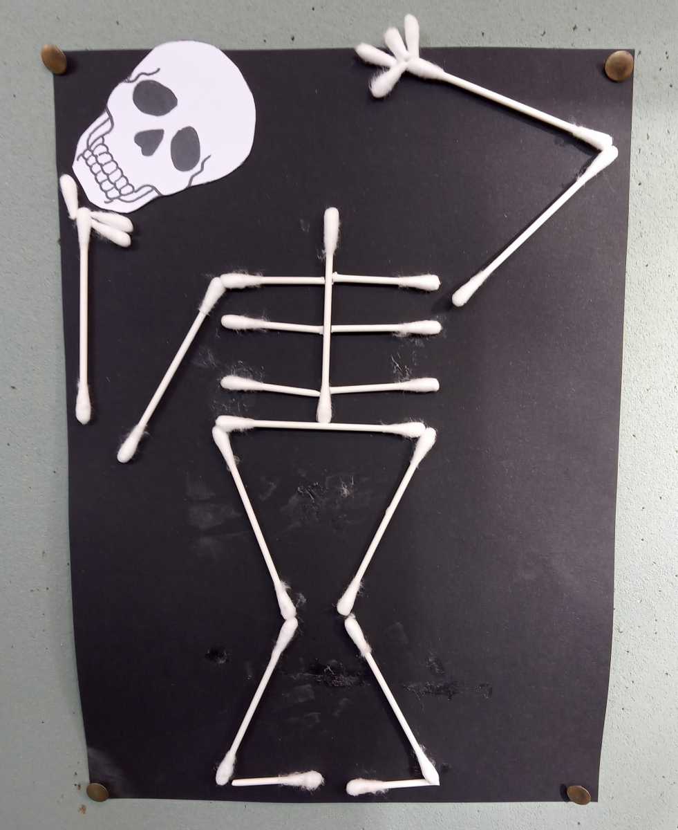 skelet