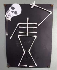skelet