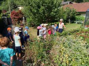 Wir erkunden einen Gemüse- und Obstgarten.