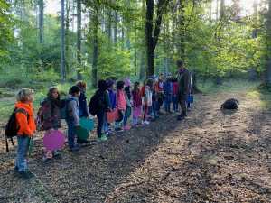 Ein Ausflug in den Wald mit einem Waldexperten!